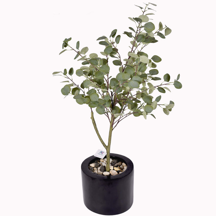 Eucalyptus tree in a Quadro Mini pot