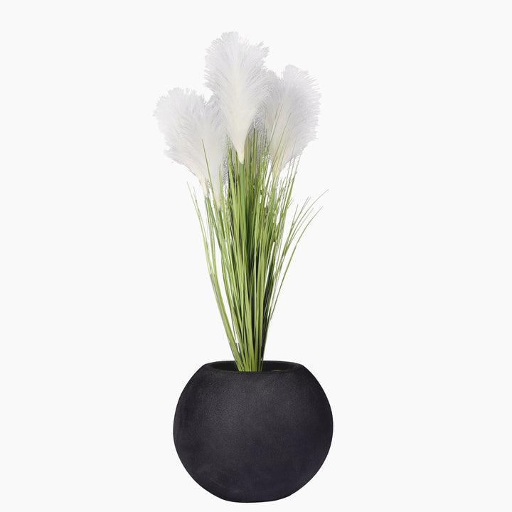Pampas plant in a Bello Mini pot
