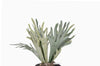 Artificial moss fern branch