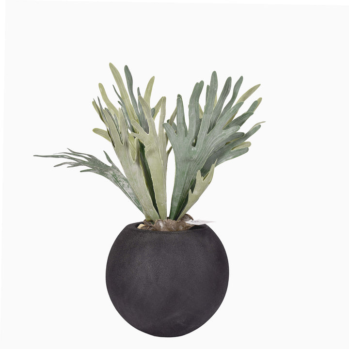 Moss fern branch in a Bello Mini pot