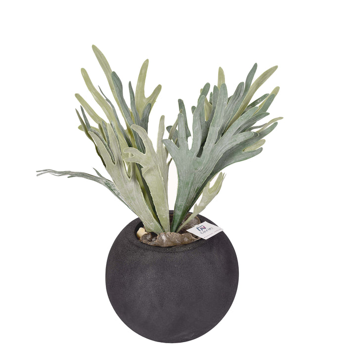Moss fern branch in a Bello Mini pot