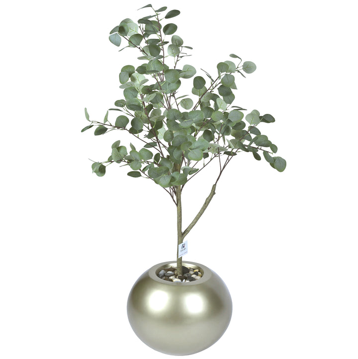 Eucalyptus tree in a Bello Plus pot