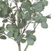 Eucalyptus tree in a Bello Plus pot
