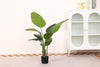 Artificial Strelitzia tree