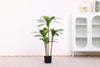 Dracaena marginata artificial tree