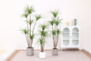 Artificial dracaena tree