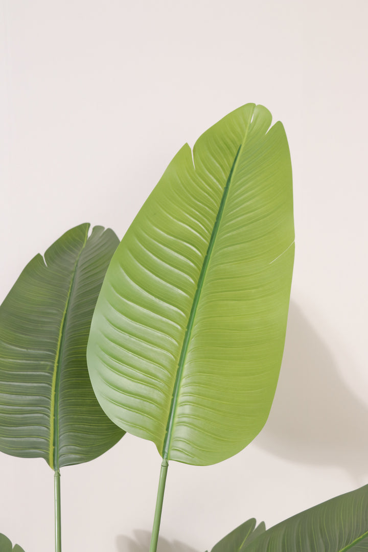 Artificial Strelitzia tree