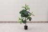 Artificial Ficus Lyrata Tree