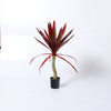 Artificial red yucca plant