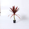 Artificial red yucca plant