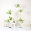 Dracaena Song of India Artificial Tree