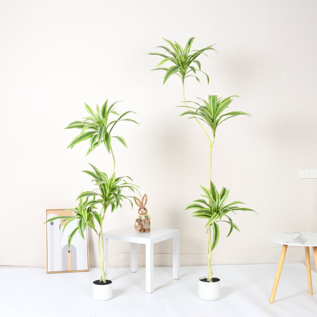 Dracaena Song of India Artificial Tree
