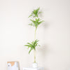 Dracaena Song of India Artificial Tree
