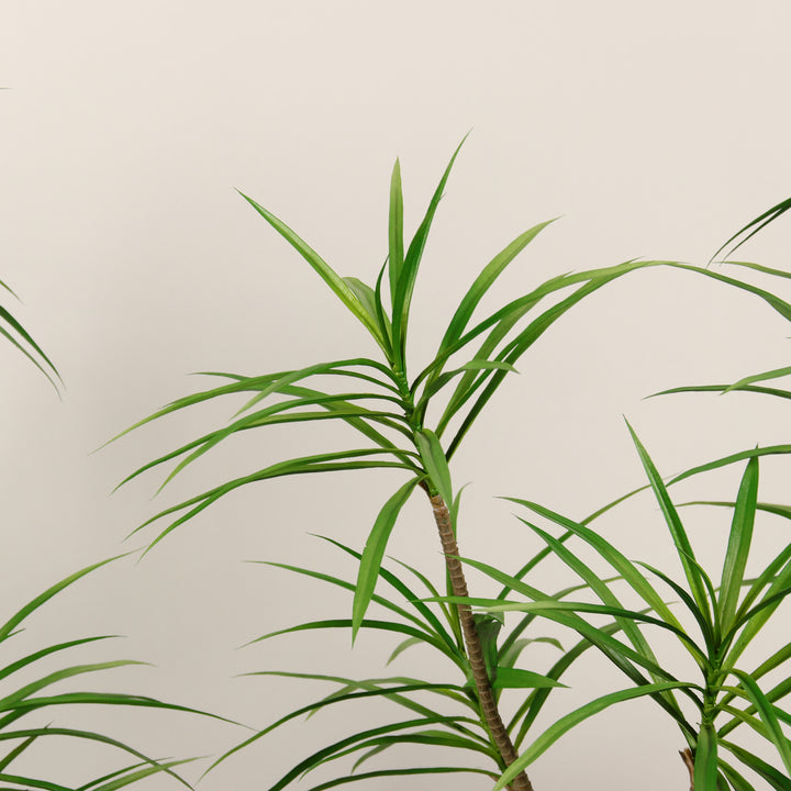 Artificial Dracaena Reiki Tree