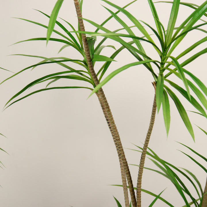 Artificial Dracaena Reiki Tree