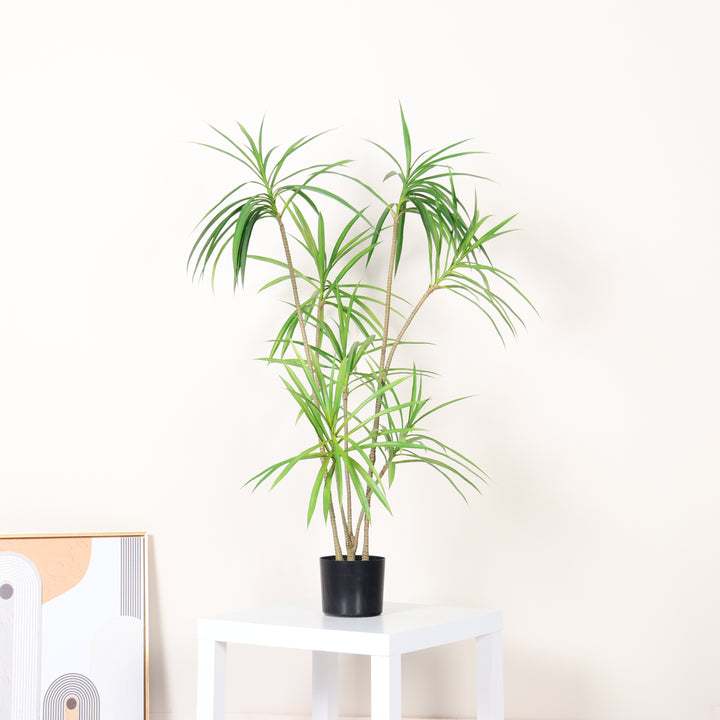 Artificial Dracaena Reiki Tree