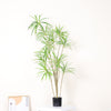 Artificial Dracaena Reiki Tree