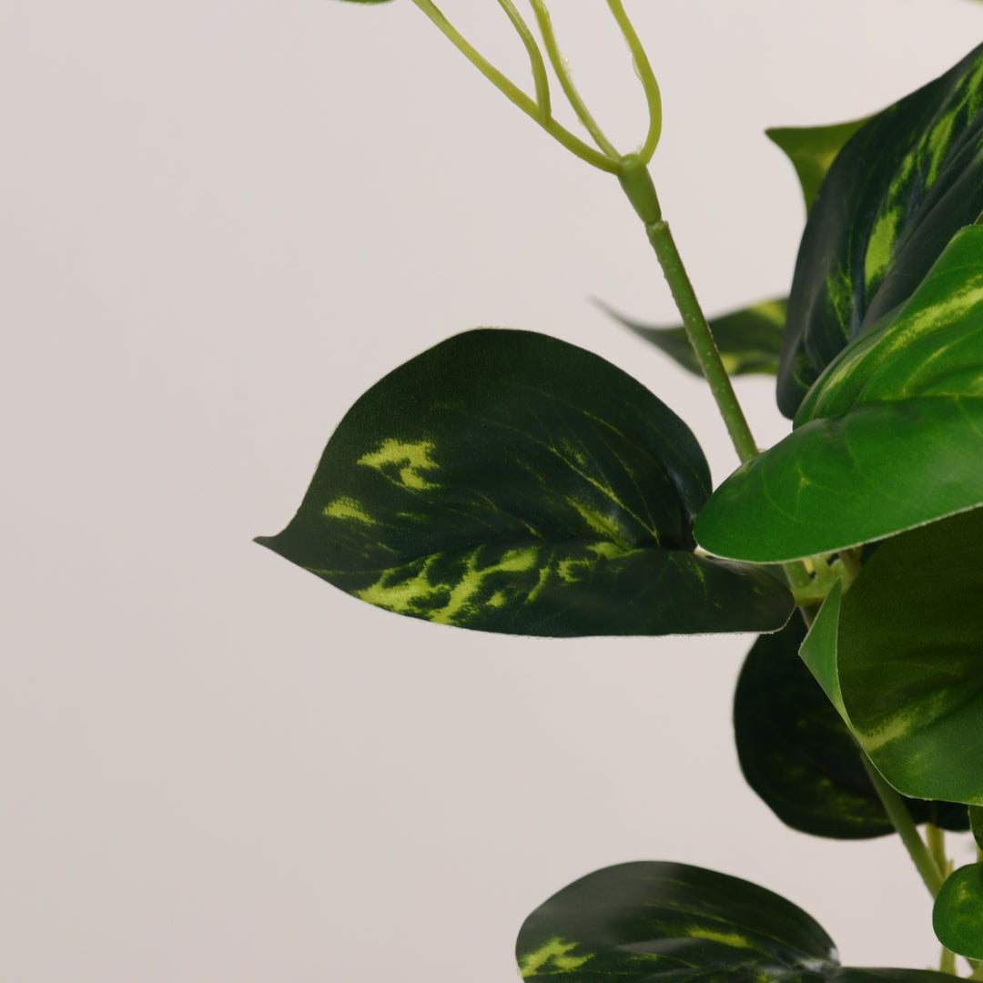 Artificial yellow pothos plant
