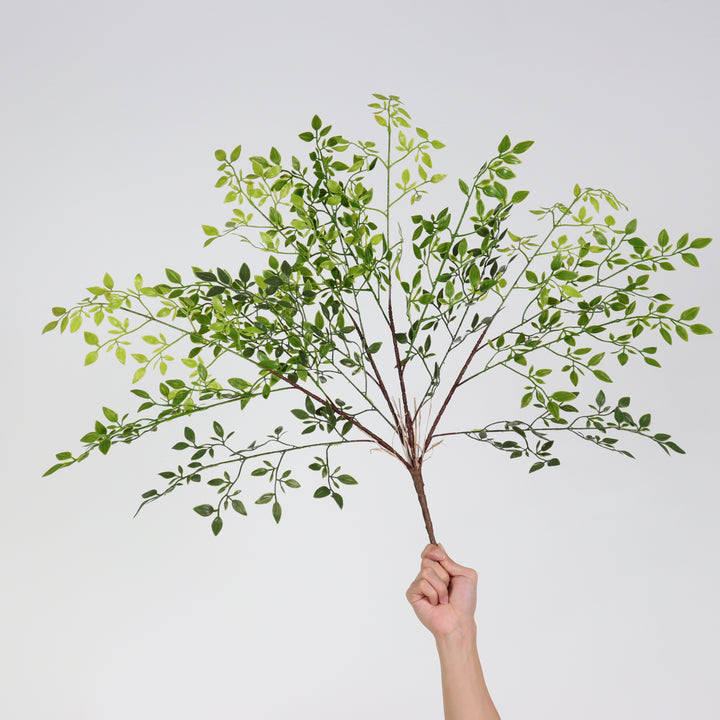 Artificial Ficus Benjamina branch