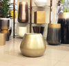 Lian Plus Pot
